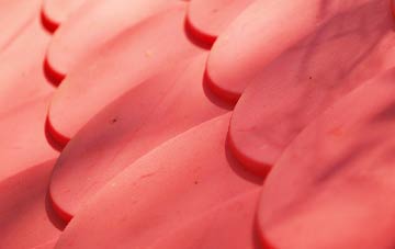 Catlowdy plastic roof costs